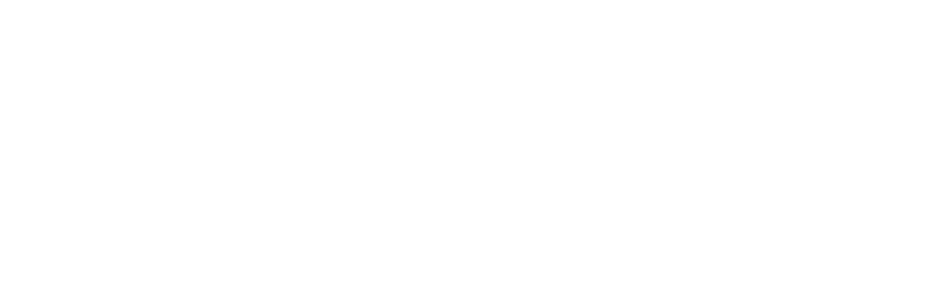 Finix logo