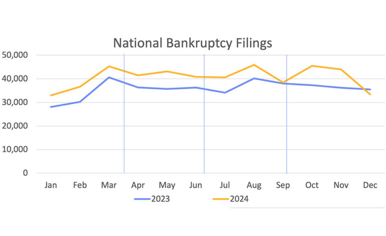 2023 and 2024 national bankruptcy filings