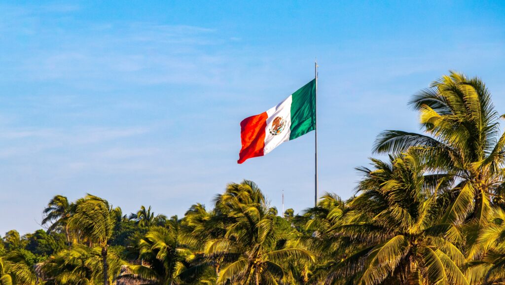 Mexican flag waving surrounded by palm trees.
