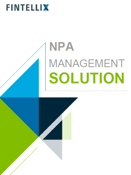 NPA Management Solution