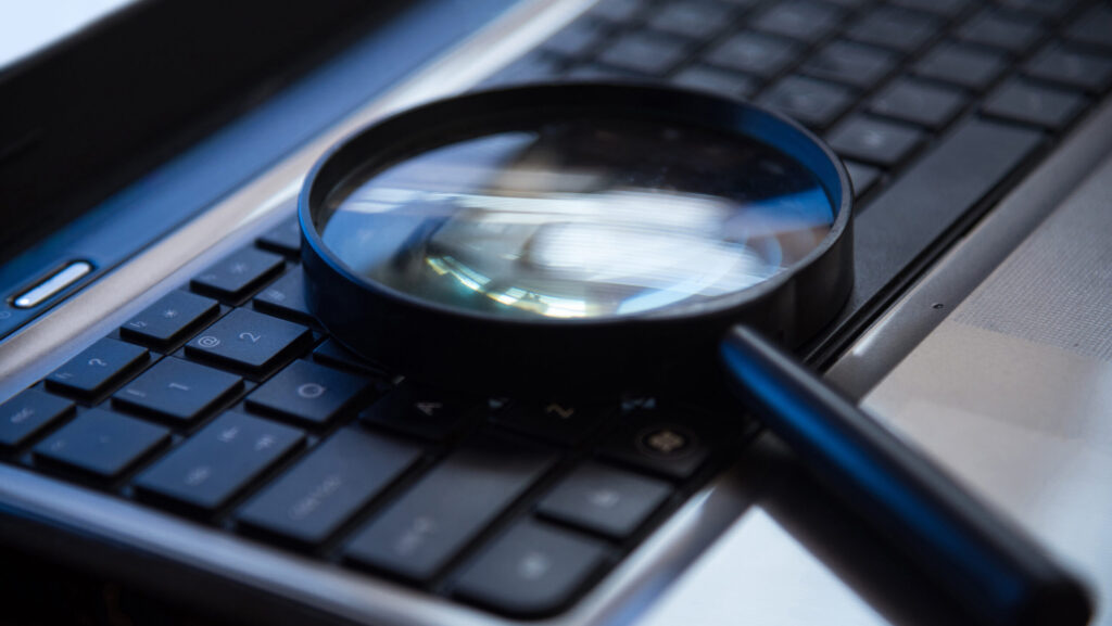 Bankruptcy Case Search